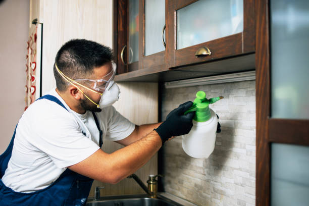 Best Pest Control for Businesses  in Broomall, PA