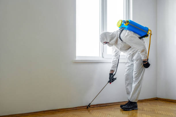 Best Rat Extermination Near Me  in Broomall, PA