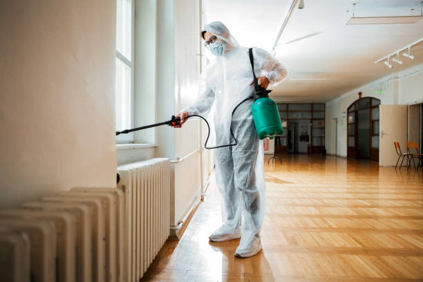Best Local Pest Control Services  in Broomall, PA