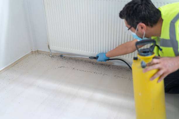 Best Local Pest Control Services  in Broomall, PA