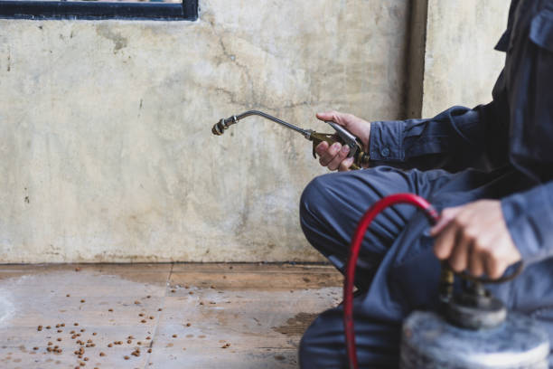 Best Pest Removal Services  in Broomall, PA