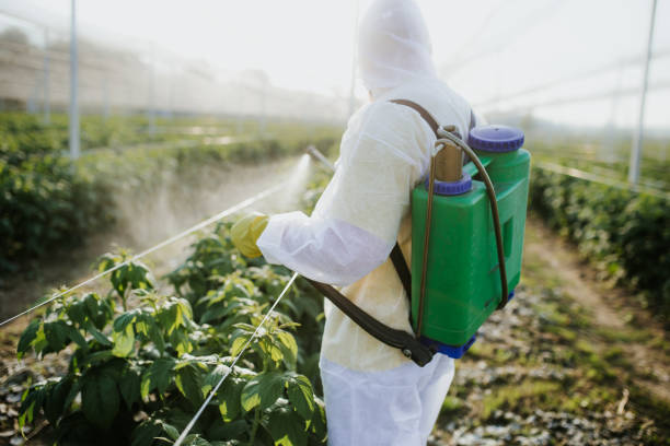 Best Best Pest Control Companies  in Broomall, PA